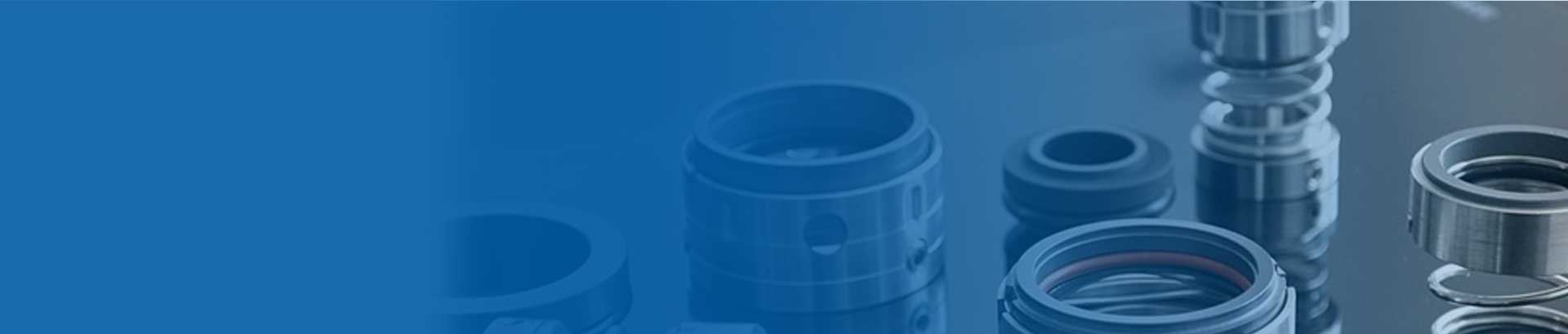 PTFE Wedge Mechanical Seals