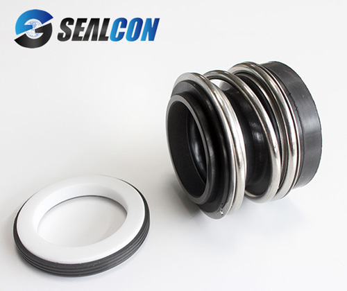elastomer bellow seal
